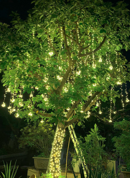 LẮP ĐÈN TRANG TRÍ CÂY XANH