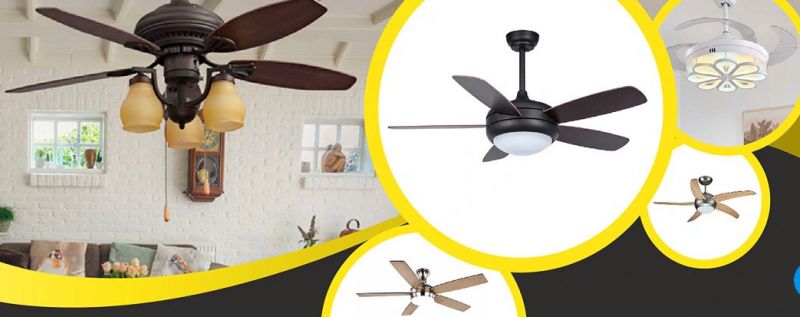 Những Mẫu Quạt Trần Phổ Biến Nhất
