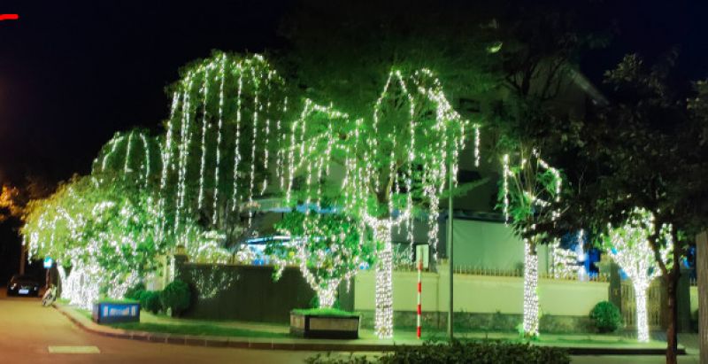 Lắp đèn trang trí cho cây xanh tại nhà biệt thự